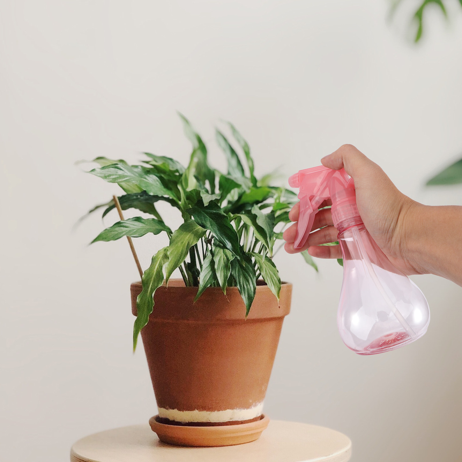 ชุดเครื่องมือปลูกต้นไม้ขนาดเล็ - Gardening Tools And Accessories บทวิจารณ์และราคา