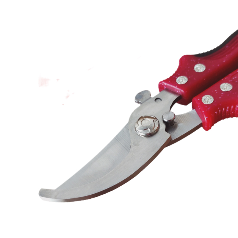 1 PC Multifunctional Pruning S - Gardening Tools Sharp บทวิจารณ์และราคา