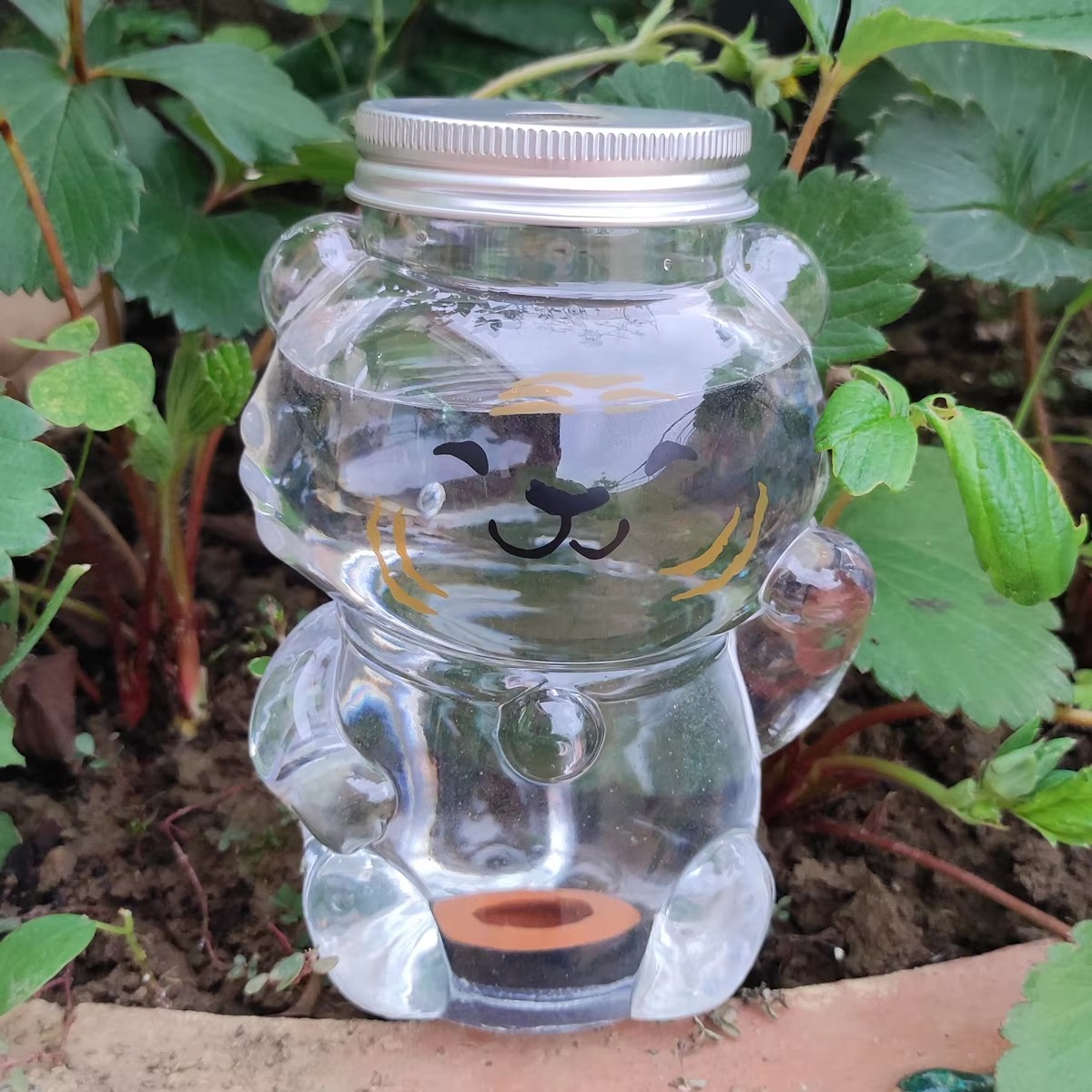 350 ML สวนอุปกรณ์รดน้ําอัตโนมั - Gardening Tools And Accessories บทวิจารณ์และราคา